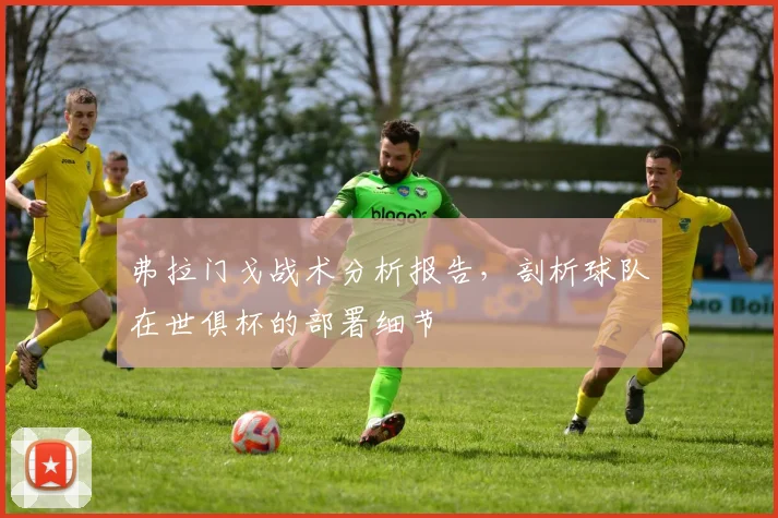 弗拉门戈战术分析报告，剖析球队在世俱杯的部署细节