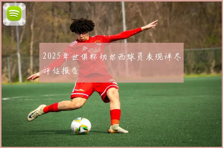 2025年世俱杯切尔西球员表现详尽评估报告