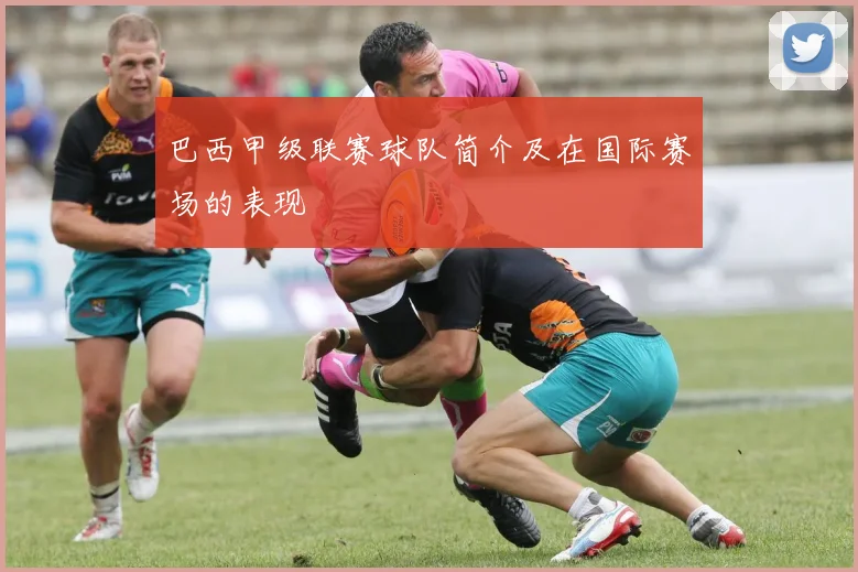 巴西甲级联赛球队简介及在国际赛场的表现