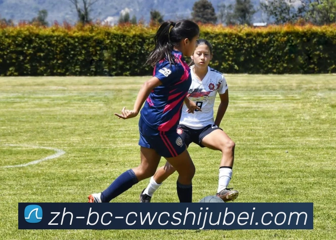 世界杯买球服务体系