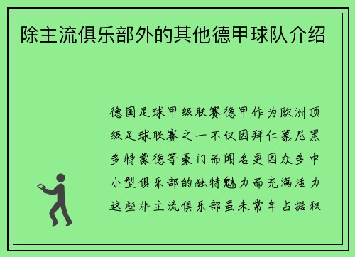 除主流俱乐部外的其他德甲球队介绍